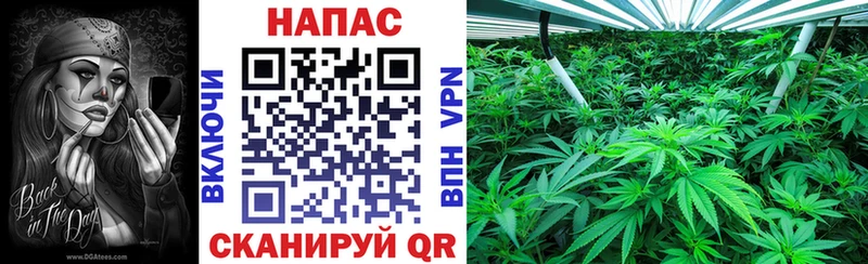 Канабис ГИДРОПОН Радужный